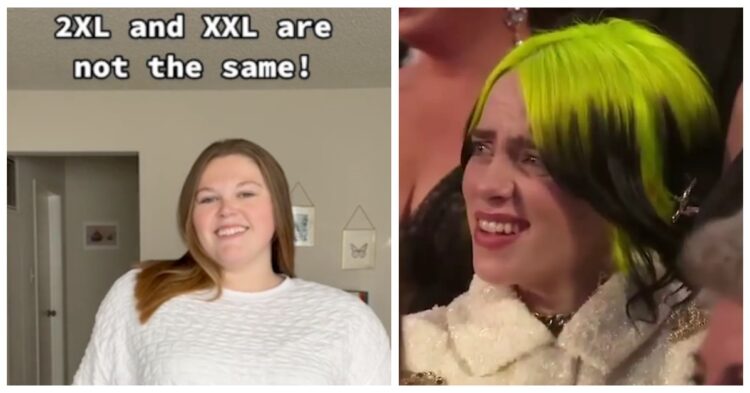 Billie Eilish and TikToker