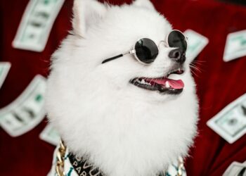 Funny Photo of a Dog Wearing Sunglasses and Sitting among Scattered Banknotes