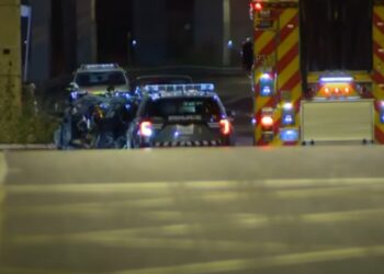 Four died and one survived in a fatal Tesla car crash