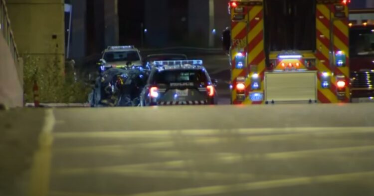 Four died and one survived in a fatal Tesla car crash