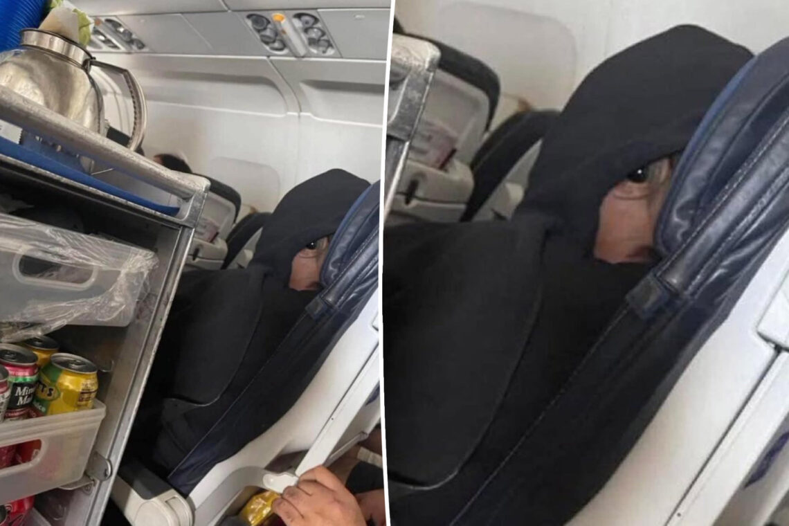 viral plane guy