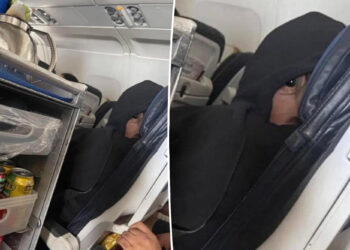 viral plane guy