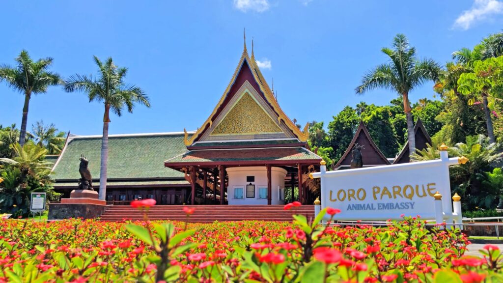 Loro Parque zoo