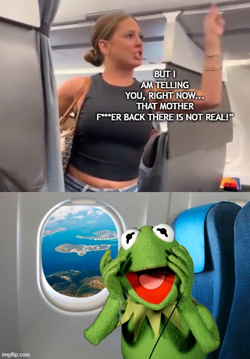 viral plane woman meme