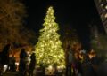 Christmas tree (Photo by Mert Alper Dervis/Anadolu via Getty Images)