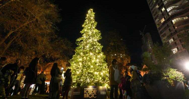 Christmas tree (Photo by Mert Alper Dervis/Anadolu via Getty Images)