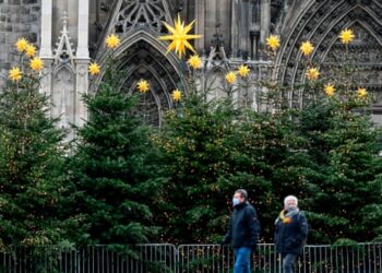 Christmas trees (Photo by INA FASSBENDER/AFP via Getty Images)