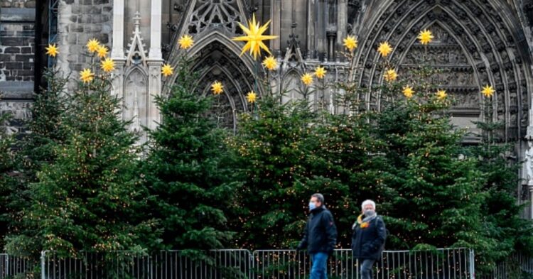 Christmas trees (Photo by INA FASSBENDER/AFP via Getty Images)