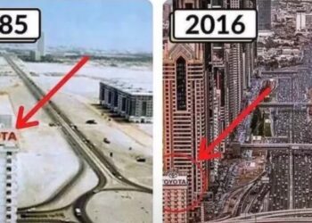 Dubai landscape image (Reddit/filmingfisheyes)