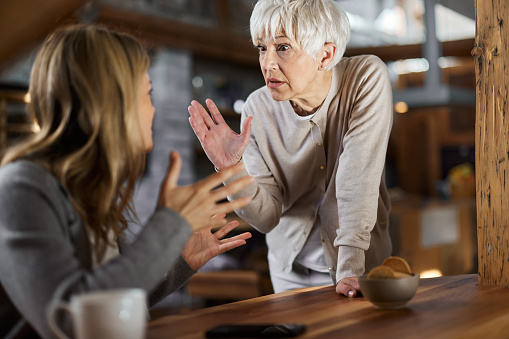 Senior single mother arguing with her adult daughter at home.