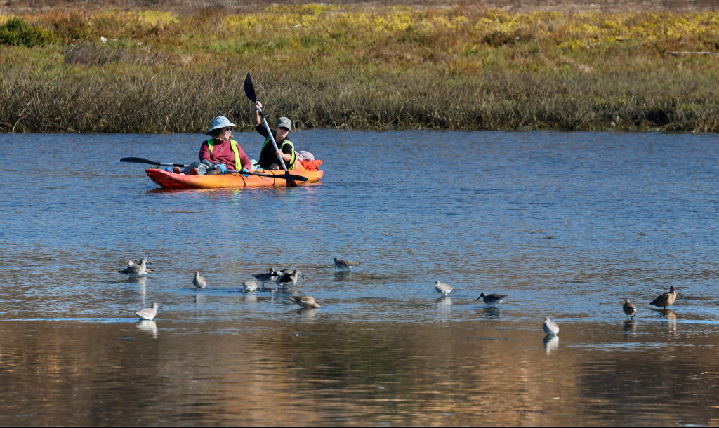 Volunteers from the Bolsa Chica Conservancy use kayaks during high tide and non-nesting seasons to remove about 101 pounds of trash from the Bolsa Chica Ecological Reserve...