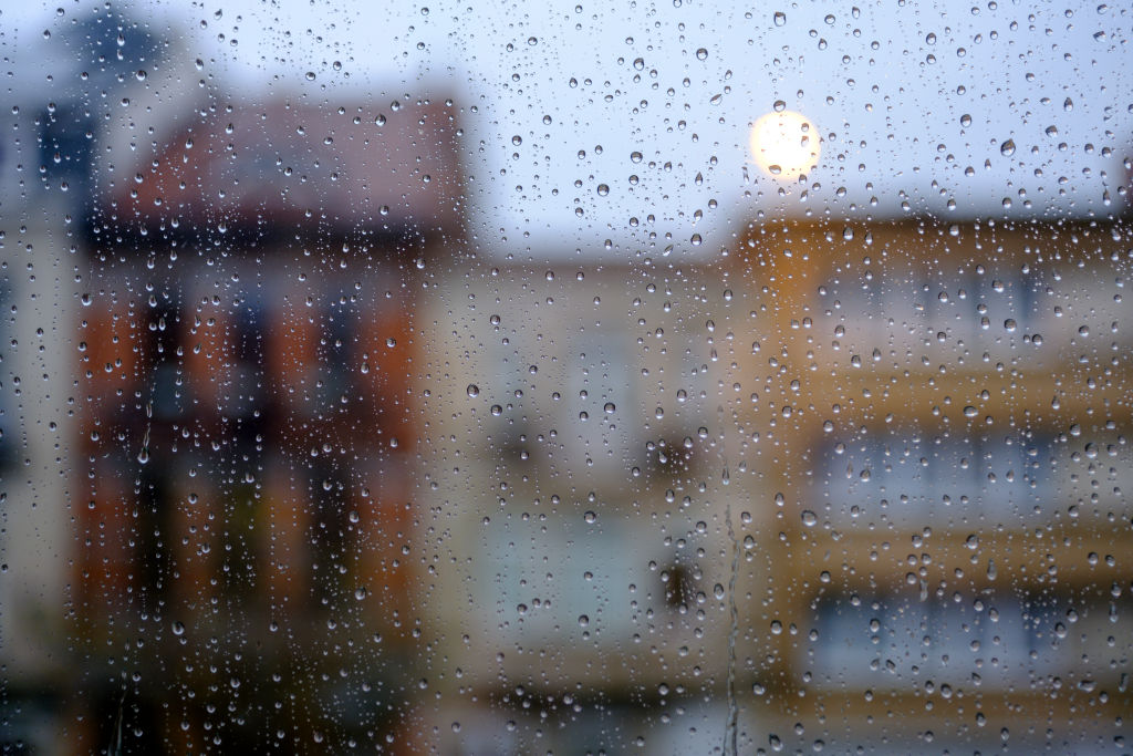Rain In Brussels