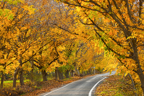 Autumn in Savur, where history and nature meet