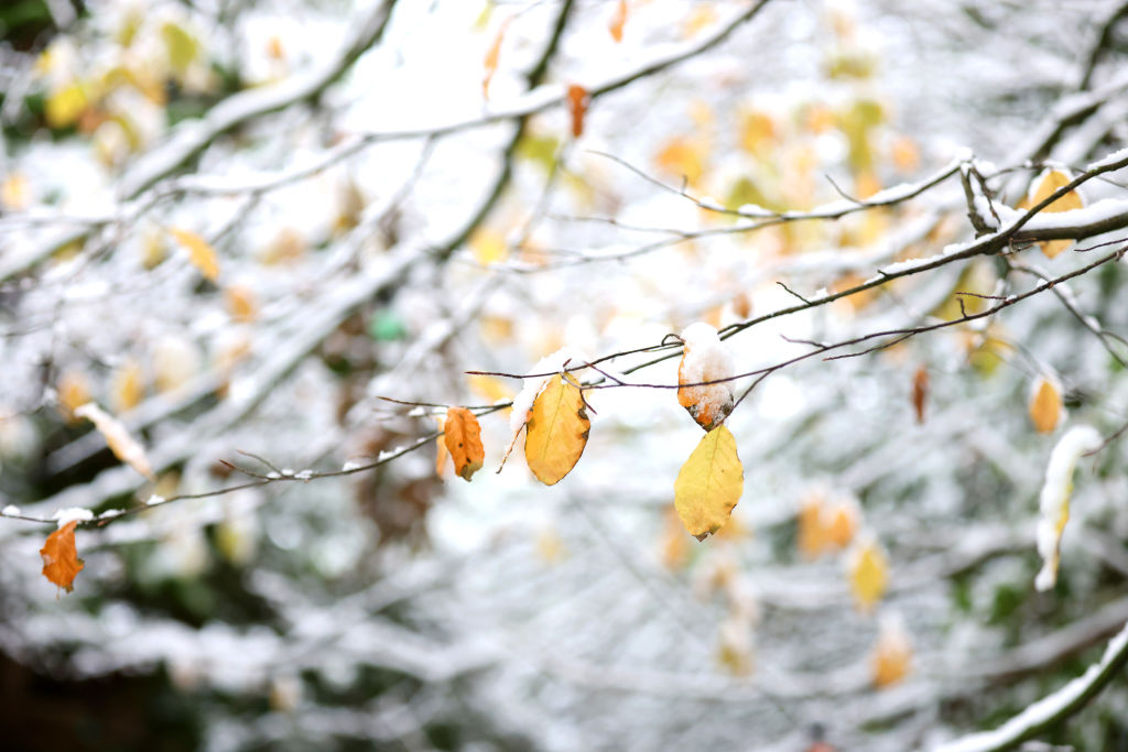 Cold Snap Sweeps UK Regions