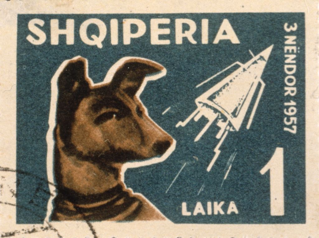 Laika The Dog
