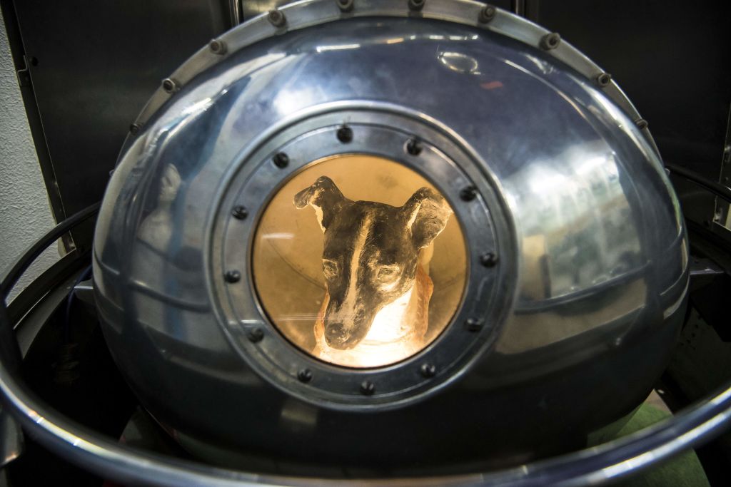 DOUNIAMAG-RUSSIA-HISTORY-SPACE-ANIMAL