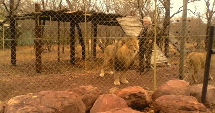 Leon van Biljon with his lions (Facebook/Mahala View Lodge)