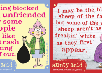 Aunty Acid memes (Image by Raychel Backland/Aunty Acid)
