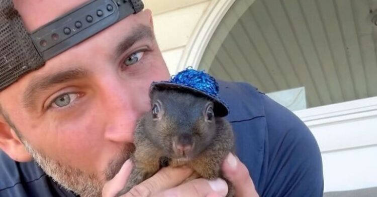The image likely shows Peanut the Squirrel in a charming and playful pose