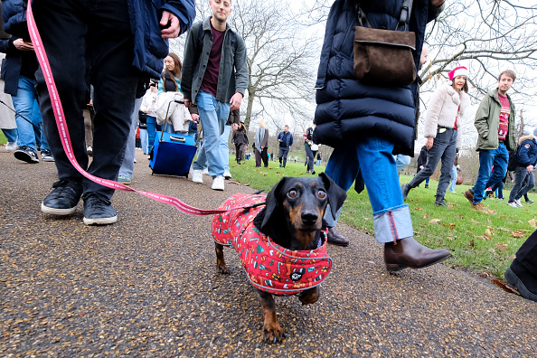 The Christmas Hyde Park Sausage walk, London