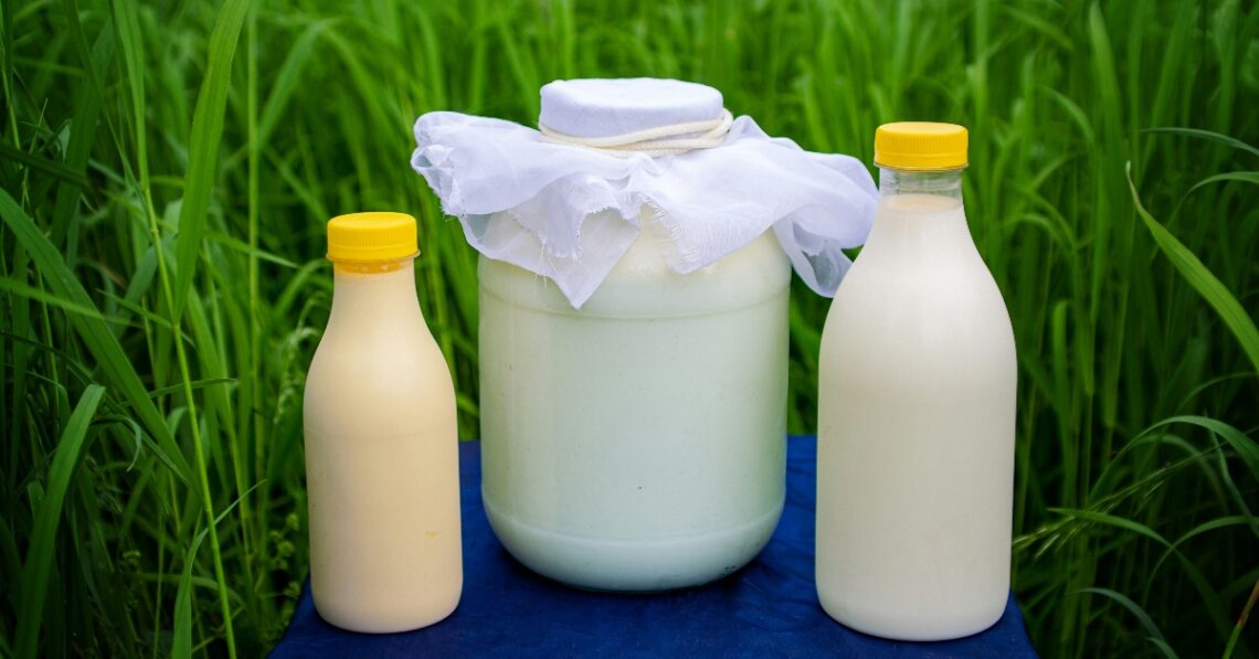 Milk at the farm (Photo by Aleksey Melkomukov via Unsplash)