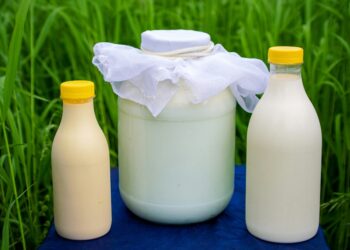 Milk at the farm (Photo by Aleksey Melkomukov via Unsplash)