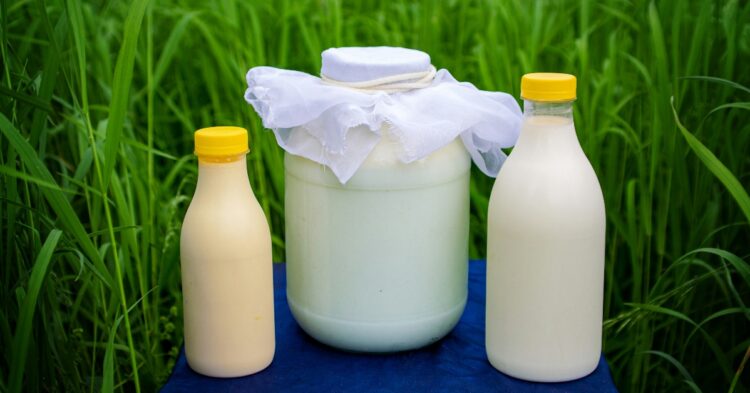 Milk at the farm (Photo by Aleksey Melkomukov via Unsplash)