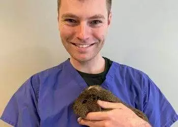 Ben the vet