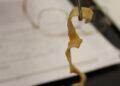 X-ray reveals cysts of tapeworm larvae in a patient