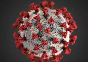 COVID-19 molecule illustration (Unsplash | CDC)
