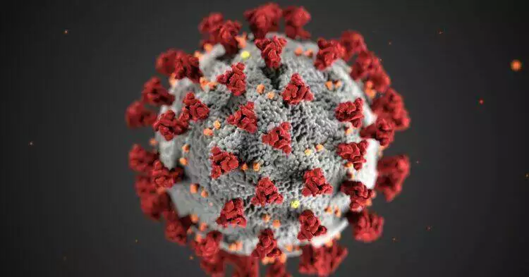 COVID-19 molecule illustration (Unsplash | CDC)