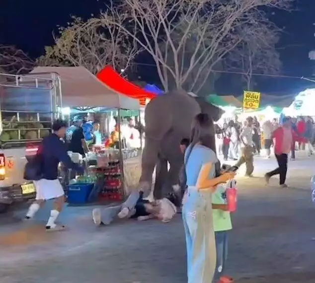 Elephant at the carnival (ViralPress)
