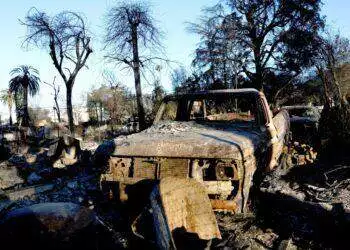 Fire remains from the Eaton Fires in LA (Reuters)