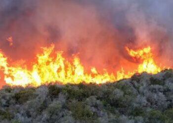 Wildfire in LA (APEX/MEGA)