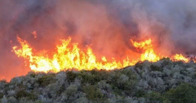 Wildfire in LA (APEX/MEGA)