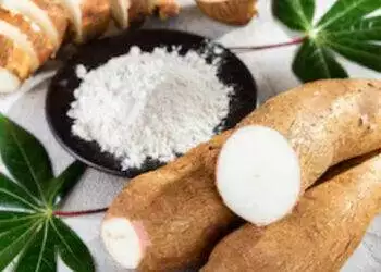 Cassava