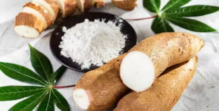 Cassava
