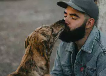 Vets warn against kissing dogs