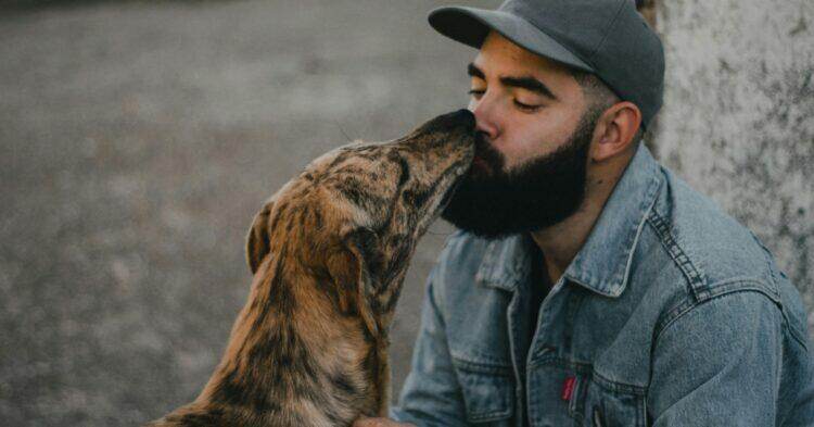 Vets warn against kissing dogs