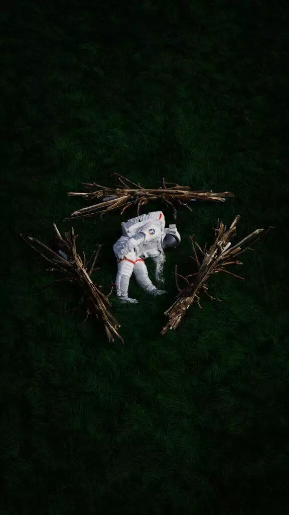 gray and brown animal plush toy on green grass