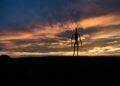silhouetto of creature during golden hour