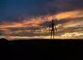 silhouetto of creature during golden hour