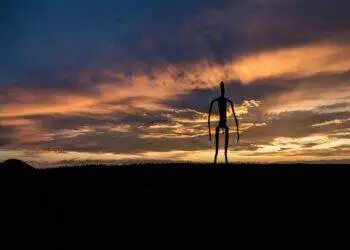 silhouetto of creature during golden hour