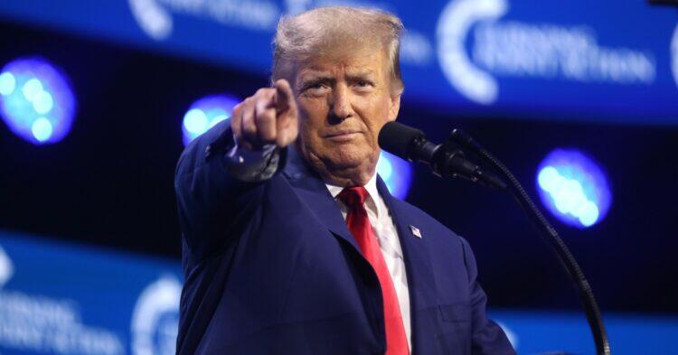 TikTok is back on the App Store and Google Play thanks to Donald Trump