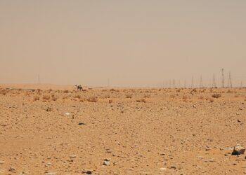 Archaeological discovery in Saudi Arabia
