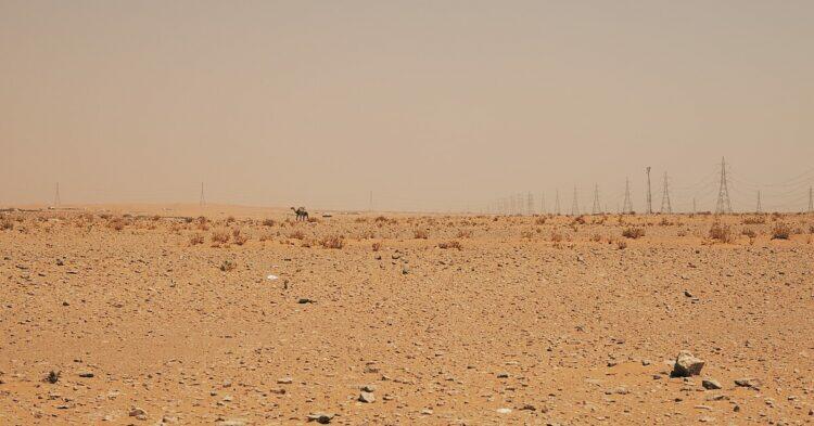Archaeological discovery in Saudi Arabia