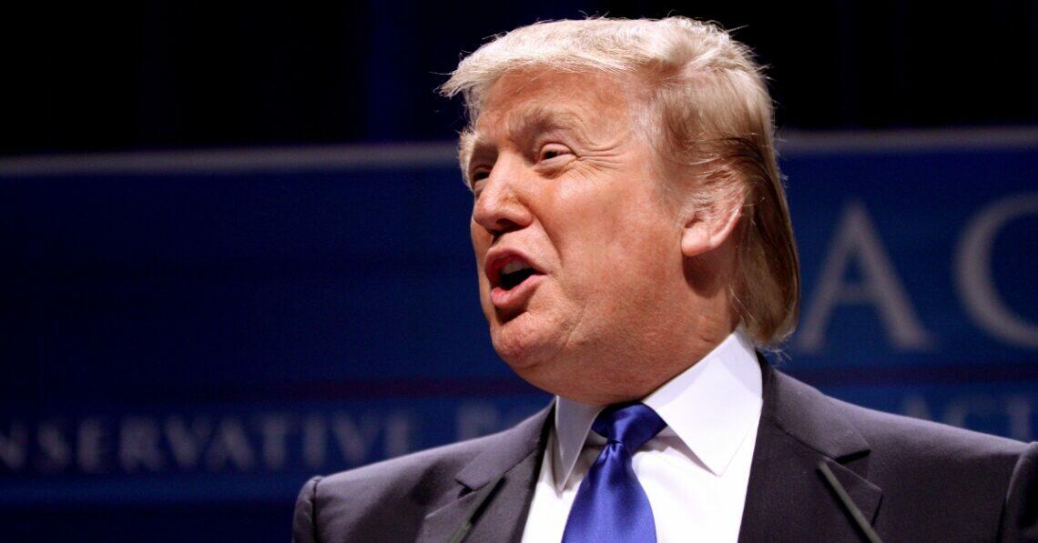 Donald Trump (Flickr | Gage Skidmore)