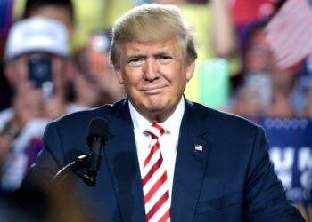 Donald Trump (Flickr | Gage Skidmore)