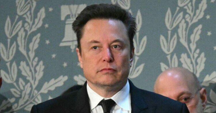 Elon Musk (X | elonmusk)