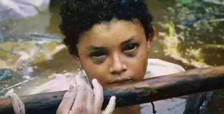 Black-eyed girl